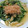 ひやごん's cooksnap of when they made 『味付け』簡単！小松菜と油あげの煮びたし.