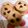 エンテれいに's cooksnap of when they made 苺チョコチップクッキー.