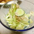 あやぶぅ☆'s cooksnap of when they made 簡単!!レタスとツナサラダ.