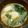 もさな's cooksnap of when they made 海老の香りのお味噌汁.