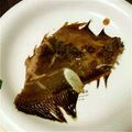 ベイバン's cooksnap of when they made 母の味♪絶対失敗しない超簡単な煮魚.