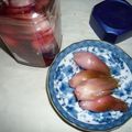 Jock's cooksnap of when they made 茗荷の赤梅酢漬け.