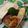 miffy77's cooksnap of when they made お弁当に★卵焼き.