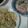 ましゅまろ1114's cooksnap of when they made アンチョビキャベツ.
