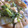 箪笥にゴン太's cooksnap of when they made お店の味☆とろーり中華丼.