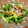 月見なっとう's cooksnap of when they made きゅうりとかにかまの酢の物.