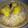 ゆっぴ３'s cooksnap of when they made さつまいもとぶなピーの炊き込みご飯.