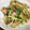 satake0820's cooksnap of when they made 水菜とじゃがいものコンソメ炒め.