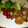 sujyong's cooksnap of when they made 秋鮭の竜田揚げ.