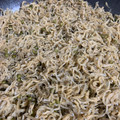 コリポロミンミン's cooksnap of when they made 【ごはんの供】ちりめん山椒　簡単簡単♪.