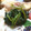 ＲＫまま's cooksnap of when they made ほうれん草の簡単ソテー.