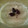 Maqook's cooksnap of when they made ★とろとろ黒豆ほうじ茶豆腐ムース★.