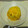 ryuaska's cooksnap of when they made 絶対に誰も失敗しない感動オムライス.