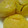 honey19's cooksnap of when they made ふわふわ&しっとり☆かぼちゃのマフィン.