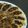 めかにか's cooksnap of when they made ジューシー餃子.