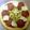ぽっぽぽ。's cooksnap of when they made トースターdeピッツァ(基本のピザ生地).