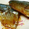 いくみﾝ's cooksnap of when they made サバの煮込み★こってり美味！.