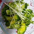 saki1230's cooksnap of when they made かいわれ大根☆タップリの簡単すぎるサラダ.