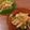 tomokichi0907's cooksnap of when they made ごぼうと長ネギの酢味噌あえ.