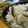 Ｋazu's cooksnap of when they made しいたけ1個でごちそう炊き込みご飯.