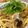 SETSUーRENT's cooksnap of when they made さんまとなすのパスタ.