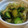 じぇんたん's cooksnap of when they made きゅうりとみょうがのさっぱり和え.