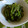 光美ママ's cooksnap of when they made 我が家の定番❀小松菜のナムル.