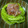 由希☆☆'s cooksnap of when they made 爽やか！！蒸しなすの梅みょうがのせ.