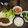 monica06's cooksnap of when they made ビールに合う☆豚ひき肉のレタス包み♪.