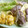 はあとん's cooksnap of when they made 鶏肉と夏野菜の揚げびたし.