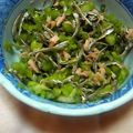 ごろもちゃ's cooksnap of when they made 絶品！かぶの茎とツナの酵素ふりかけ.
