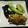 むぎーまん's cooksnap of when they made 夏野菜のバルサミコしょう油炒め.
