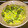 ayapancer's cooksnap of when they made 豆もやしとほうれん草のナムル.
