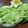 ママフィオ's cooksnap of when they made ずんだもち.