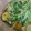 めかにか's cooksnap of when they made 揚げナスのあんかけ.