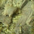 わさこちゃん's cooksnap of when they made ♥牛肉ときのこの味噌炒め♥.