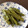 ポメちょん's cooksnap of when they made いんげんだけ！簡単煮.