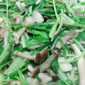 きみどりえんぴつ's cooksnap of when they made 水菜と豚肉炒め　味付けは塩胡椒だけ♪.