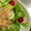 mi～ta☆'s cooksnap of when they made 中華風ゴマだれ♬.