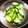 ちえちんと龍's cooksnap of when they made 丸ごと！きゅうりの浅漬け.