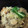 とももグラタン's cooksnap of when they made 舞茸とさつまいもの味噌炊き込みご飯.