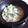 ＣＤＪ's cooksnap of when they made 残り野菜でチヂミ♪.