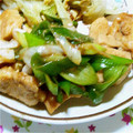 あぁちゃんの愛情料理's cooksnap of when they made 鶏むね肉とネギの炒め物.