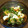 かオリ's cooksnap of when they made わかめとちくわの胡麻マヨ和え＊.