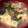 よつつつん's cooksnap of when they made 長芋とわかめのスープ.