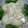 ぶぶくん's cooksnap of when they made かぶにた～っぷり＊えびのとろとろあん＊.