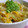 にゃぁくん's cooksnap of when they made とろとろ親子丼.