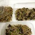 ぽぴぽぴ's cooksnap of when they made 保育園のピーマンふりかけ.