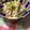 クックDGCFO3☆'s cooksnap of when they made もやしきゅうりちくわのおかかマヨ.