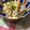 クックDGCFO3☆'s cooksnap of when they made もやしきゅうりちくわのおかかマヨ.